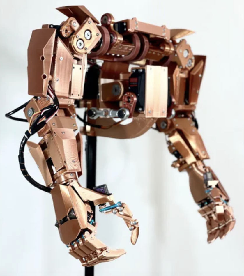 Youbionic Torso Pro (with Full Arm Pro)